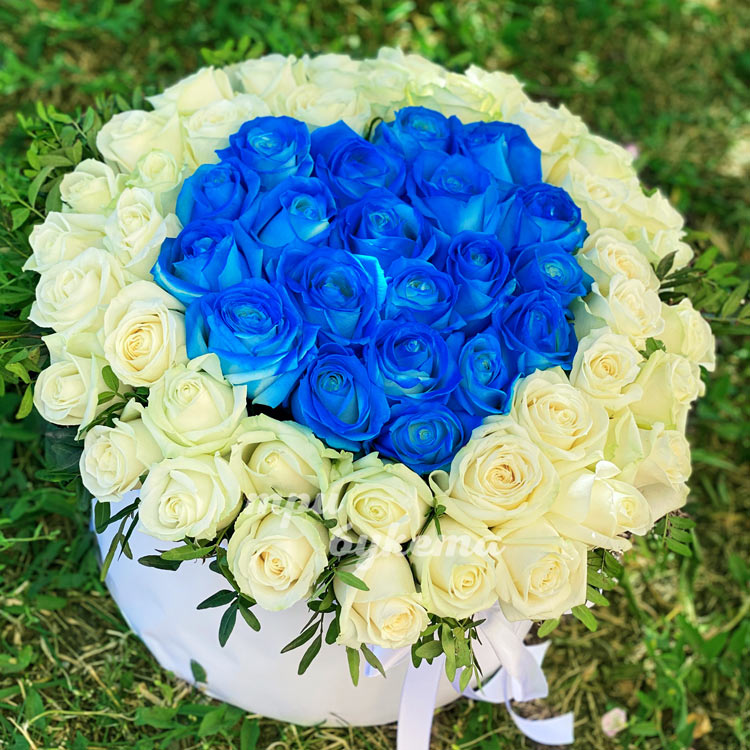 Сердце из синих и белых роз (вид сверху на фоне травы)