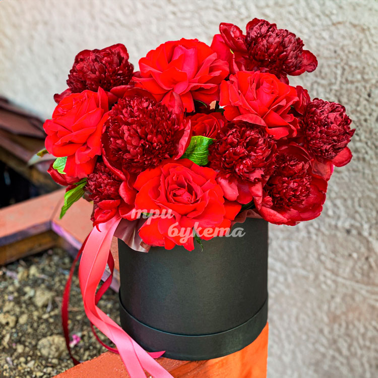 Шляпная коробка красных роз и пионов (на фоне белой стены)