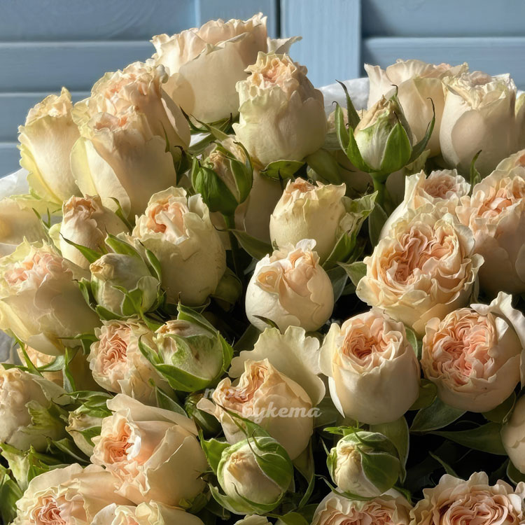 Букет из 9 желтых кустовых роз (крупный план)